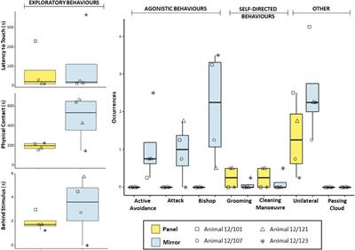 A preliminary attempt to investigate mirror self-recognition in Octopus vulgaris